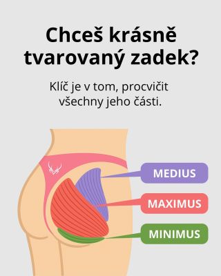 Chceš krásně vytvarovaný zadek, ale pořád nevidíš výsledky? Možná necílíš správně na všechny tři svalové části – gluteus...