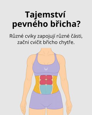 Ploché břicho se dělá v kuchyni, pevné břicho se buduje správným tréninkem 💪 👉 Víš, že různé cviky na břicho zapojují...